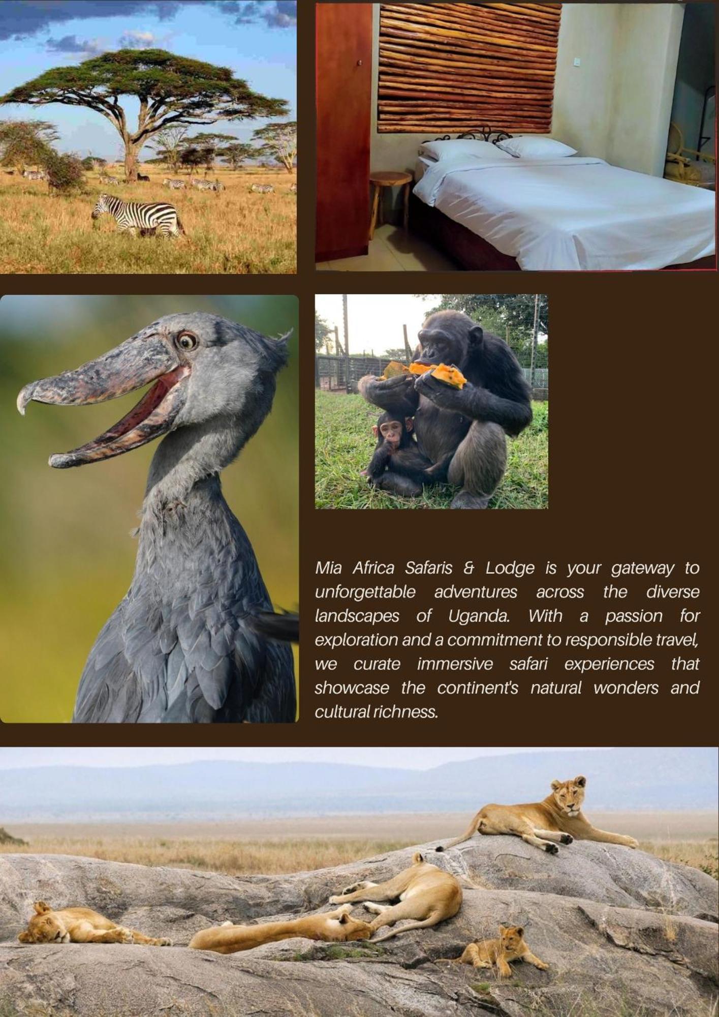 Mia Safari Lodge And Restaurant Entebbe Bagian luar foto